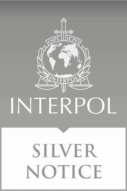 Legal support from an INTERPOL lawyer for international cases